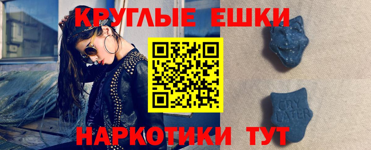 Ecstasy Philipp Plein  Вход с VPN  Истра 
