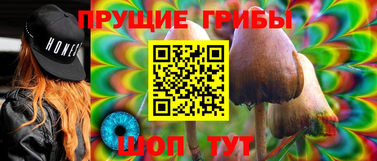 Галлюциногенные грибы мицелий  Галлюциногенные грибы Magic Shrooms  Вход с VPN  Истра 